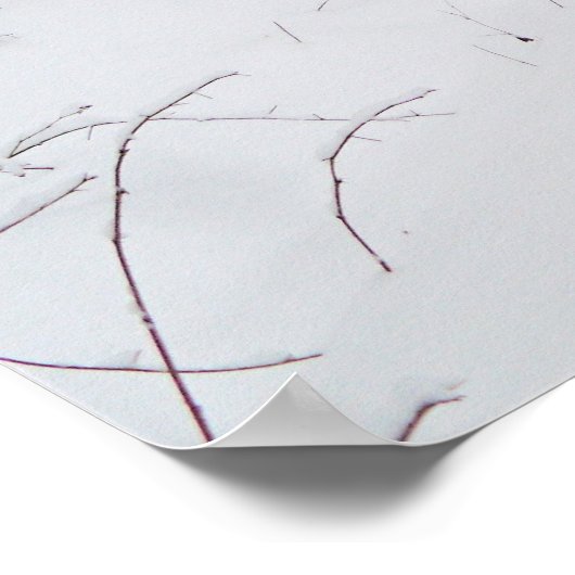 affiche de l'hiver (Coin)