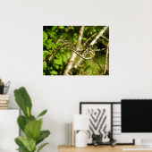 Affiche de libellules à queue courte poster (Thuiskantoor)