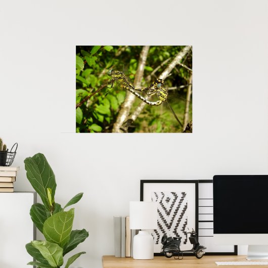 Affiche de libellules à queue courte poster (Thuiskantoor)