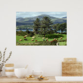 affiche de l'île (Cuisine)