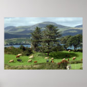 affiche de l'île (Devant)