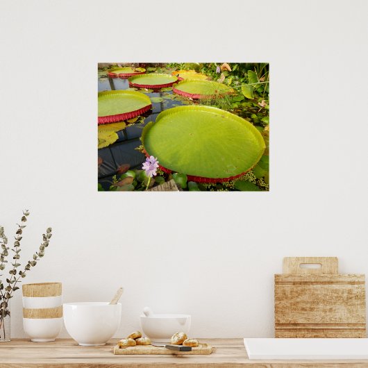 Affiche de Lily Pad (Cuisine)