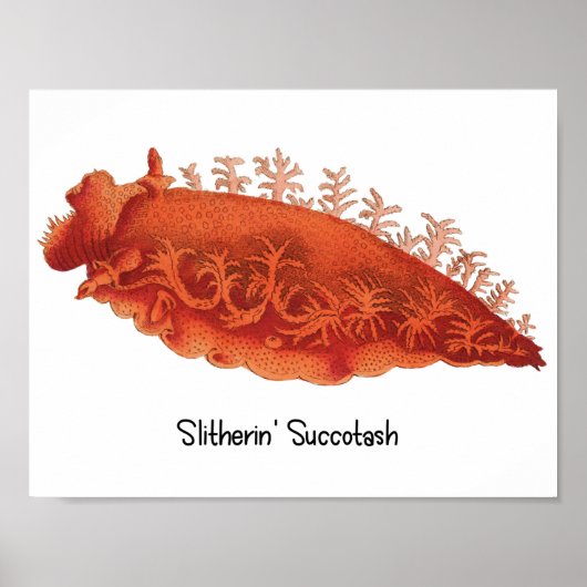 Affiche de limace de mer Slitherin' Succotash (Devant)