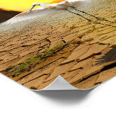 Affiche de l'Imaginaire Mermaid Desert (Coin)