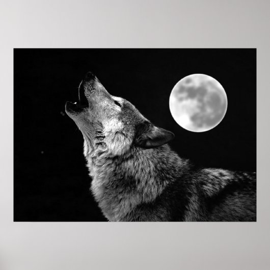 Affiche de l'impression du loup gris et de la lune (Devant)