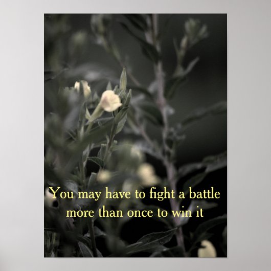 Affiche de l'installation de récupération (Devant)