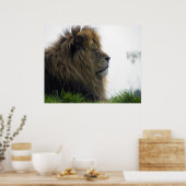 Affiche de Lion avec Belle Crinière (Cuisine)