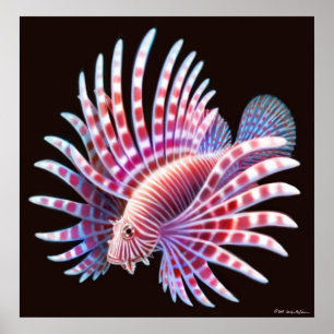 Affiche de Lionfish de récif coralien