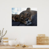 Affiche de lionne (Cuisine)