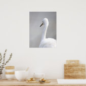 Affiche de l'oiseau aigrette (Cuisine)