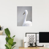 Affiche de l'oiseau aigrette (Bureau à domicile)