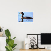 Affiche de l'oiseau Grèbe à bec bigarré (Bureau à domicile)