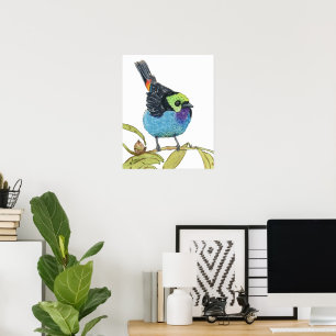 Affiche de l'oiseau Tangara Paradis   Mur d'oiseau