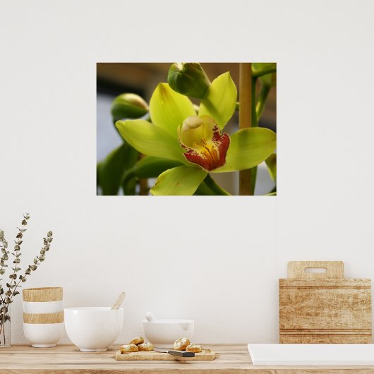 Affiche de l'orchidée (Cuisine)