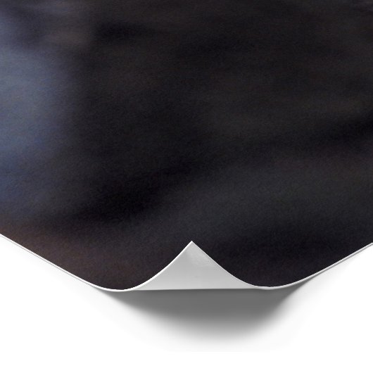 Affiche de loup gris (Coin)