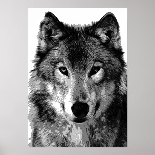 Affiche de loup gris (Devant)