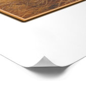 affiche de l'ours brun (Coin)