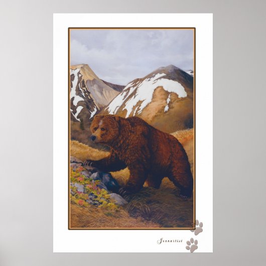 affiche de l'ours brun (Devant)