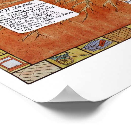 affiche de lulu (Coin)