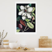 Affiche de Magnolia (Cuisine)
