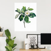 Affiche de Magnolia (Bureau à domicile)