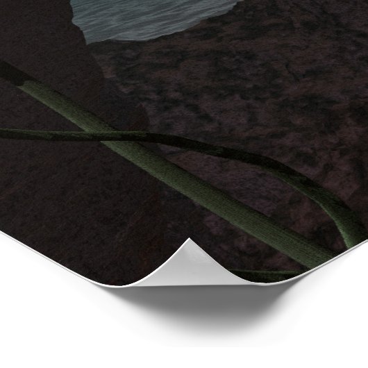 Affiche de Manatee (Coin)