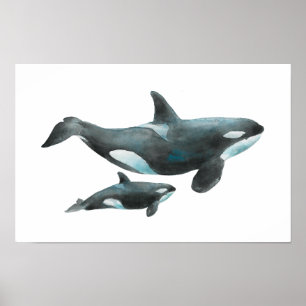 Affiche de mère et bébé orque à l'aquarelle