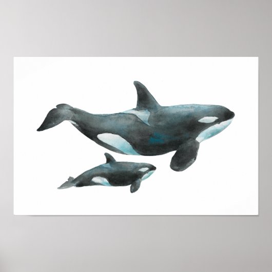 Affiche de mère et bébé orque à l'aquarelle (Devant)