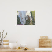 Affiche de mini cheval (Cuisine)