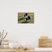 Affiche de mini chevaux (Cuisine)