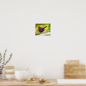 Affiche de moineau perché (Cuisine)