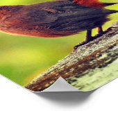 Affiche de moineau perché (Coin)