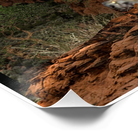 affiche de montagne cougar (Coin)