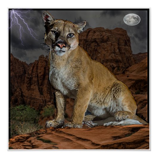 affiche de montagne cougar (Devant)