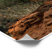 affiche de montagne cougar (Coin)