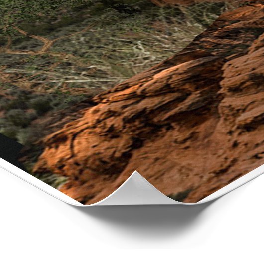 affiche de montagne cougar (Coin)