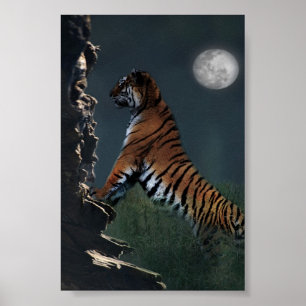 Affiche de montée de tigres