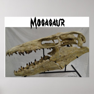 Affiche de Mosasaur