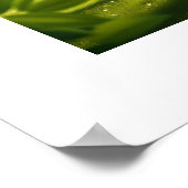 Affiche de motivation inspirante (Coin)