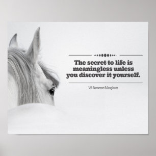 Affiche de motivation "le secret à la vie… "