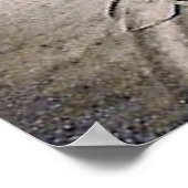 Affiche de moto masculine des années 1920 (Coin)