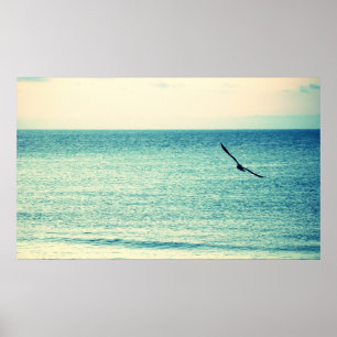 Affiche de mouette