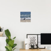 Affiche de mouette sur la plage (Bureau à domicile)