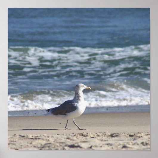 Affiche de mouette sur la plage (Devant)