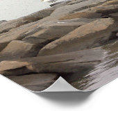 Affiche de mouettes sur des rochers (Coin)
