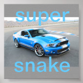 affiche de mustang (Devant)