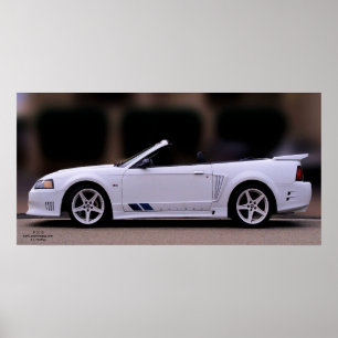 AFFICHE DE MUSTANG DE SALEEN
