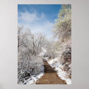 Affiche de nature de neige de ressort
