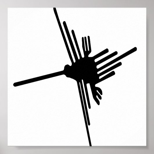 Affiche de Nazca Hummingbird (Devant)