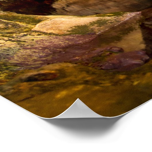 Affiche de Neptune's Grotto, Sardaigne (Coin)